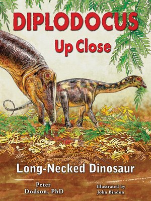 cover image of Diplodocus Up Close